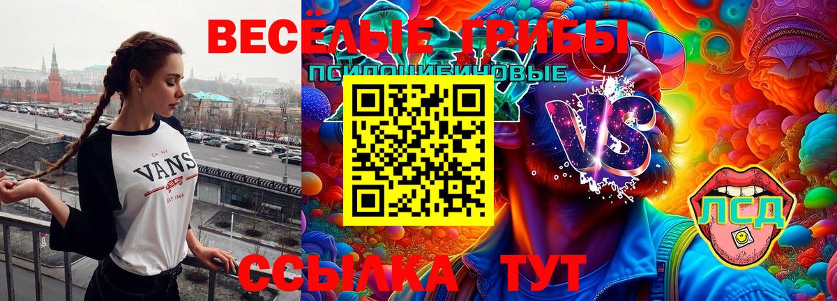 Галлюциногенные грибы мицелий  Вход с VPN  Галлюциногенные грибы MAGIC MUSHROOMS  Обнинск 