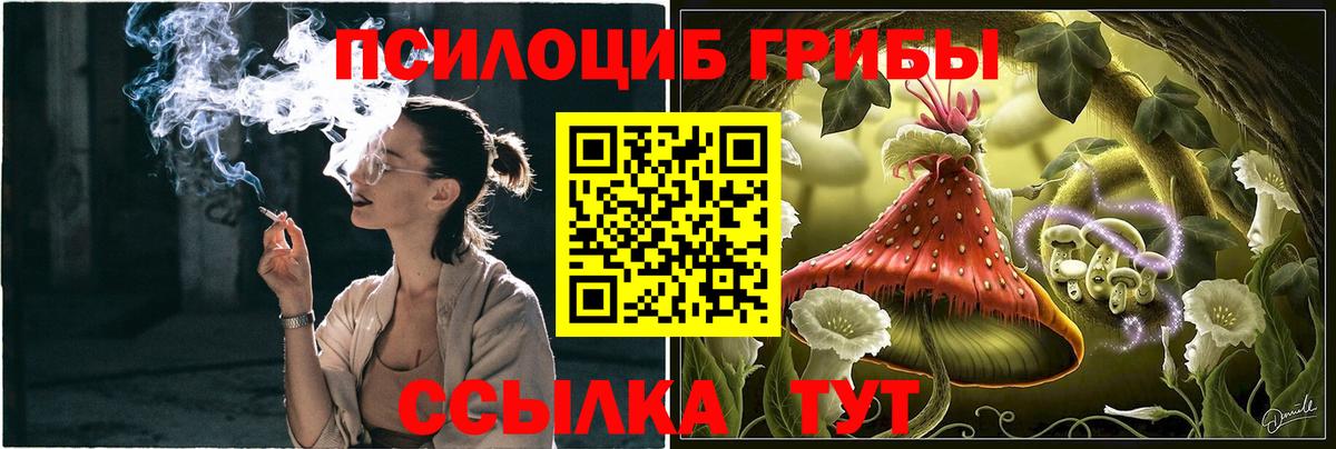 Псилоцибиновые грибы мухоморы Обнинск